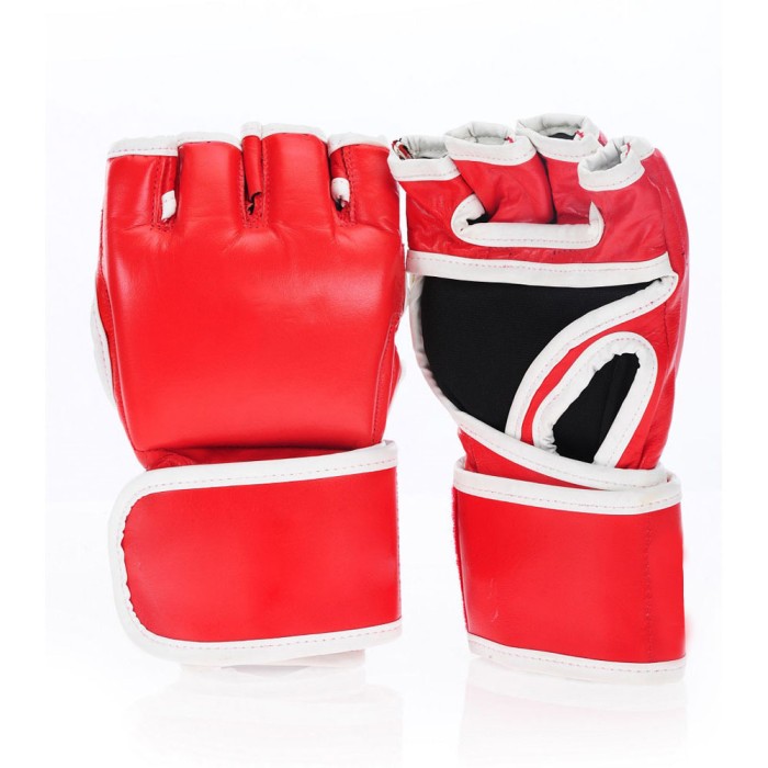 MMA Gloves